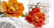 Picture for category Flower Making Products